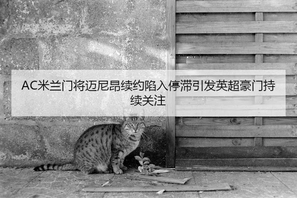 AC米兰门将迈尼昂续约陷入停滞引发英超豪门持续关注